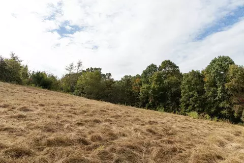 491 Low Gap Rd, Noel, MO 64854 photo 34