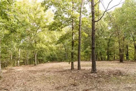 491 Low Gap Rd, Noel, MO 64854 photo 35