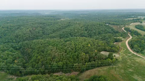 491 Low Gap Rd, Noel, MO 64854 photo 17