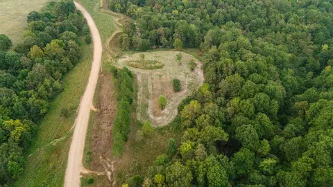 491 Low Gap Rd, Noel, MO 64854 photo 10