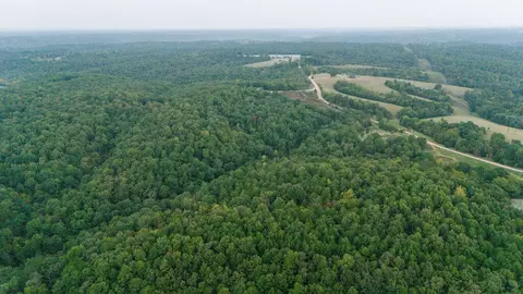 491 Low Gap Rd, Noel, MO 64854 photo 15