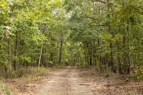 491 Low Gap Rd, Noel, MO 64854 photo 29