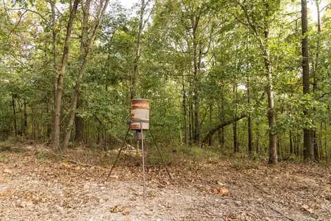 491 Low Gap Rd, Noel, MO 64854 photo 49