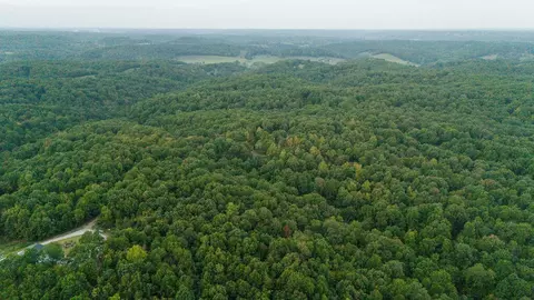 491 Low Gap Rd, Noel, MO 64854 photo 24