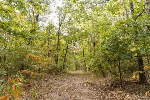 491 Low Gap Rd, Noel, MO 64854 photo 33