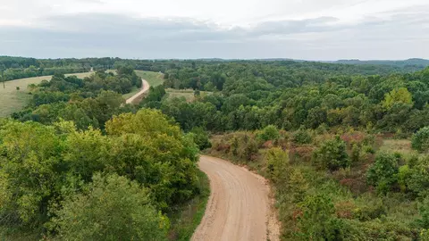 491 Low Gap Rd, Noel, MO 64854 photo 8