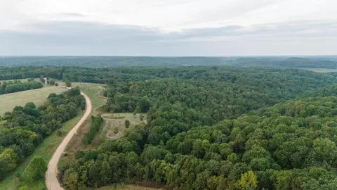 491 Low Gap Rd, Noel, MO 64854 photo 7