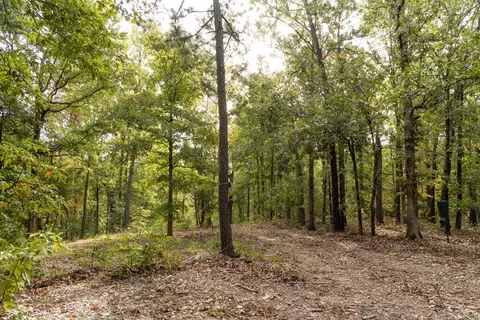 491 Low Gap Rd, Noel, MO 64854 photo 41