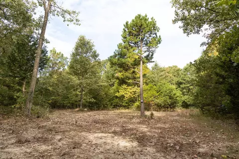 491 Low Gap Rd, Noel, MO 64854 photo 31