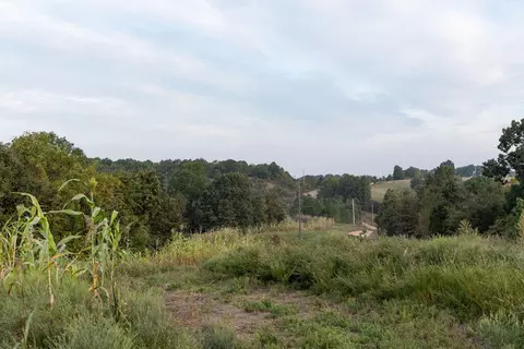 491 Low Gap Rd, Noel, MO 64854 photo 84