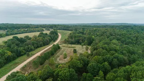 491 Low Gap Rd, Noel, MO 64854 photo 22
