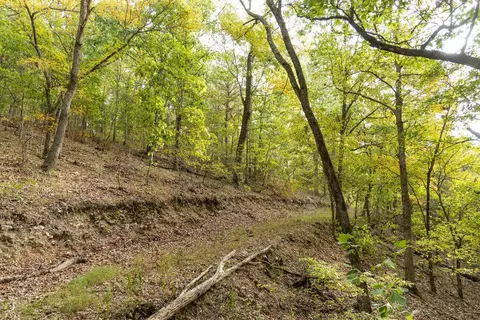 491 Low Gap Rd, Noel, MO 64854 photo 40