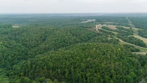 491 Low Gap Rd, Noel, MO 64854 photo 16