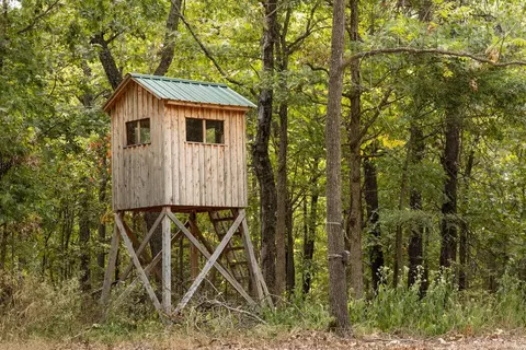 491 Low Gap Rd, Noel, MO 64854 photo 43