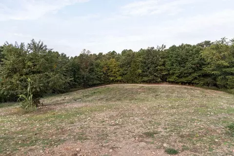491 Low Gap Rd, Noel, MO 64854 photo 82