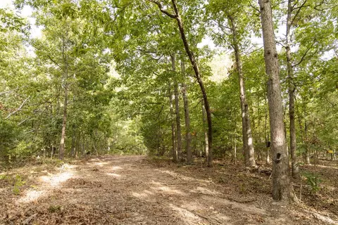 491 Low Gap Rd, Noel, MO 64854 photo 36