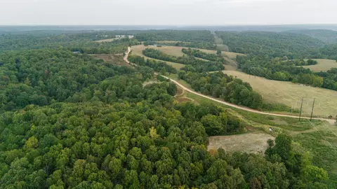 491 Low Gap Rd, Noel, MO 64854 photo 14