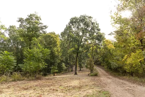 491 Low Gap Rd, Noel, MO 64854 photo 46