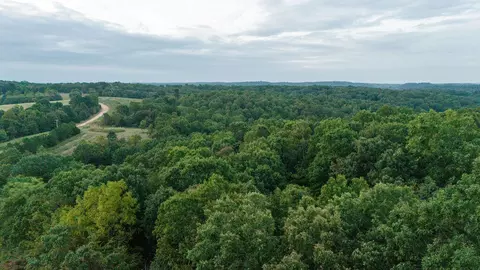 491 Low Gap Rd, Noel, MO 64854 photo 23