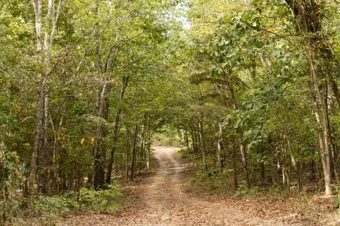 491 Low Gap Rd, Noel, MO 64854 photo 45