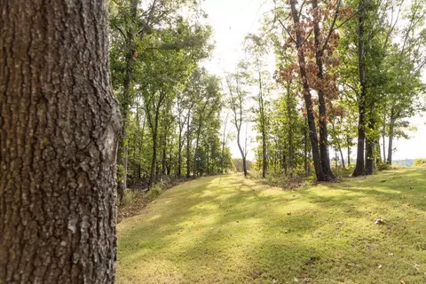 491 Low Gap Rd, Noel, MO 64854 photo 51