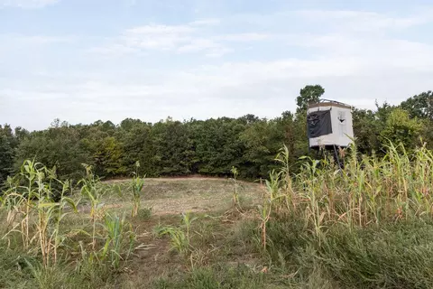 491 Low Gap Rd, Noel, MO 64854 photo 83