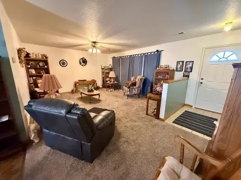 610 Kaitlin Dr, Mountain View, MO 65548 photo 9