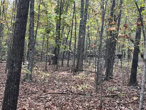 lot1 County Road 113, Alton, MO 65606