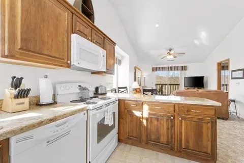 3 Woodpecker Ln #5, Branson, MO 65616 photo 10