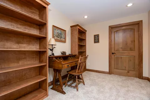 707 S Hickory Ter, Springfield, MO 65809 photo 48