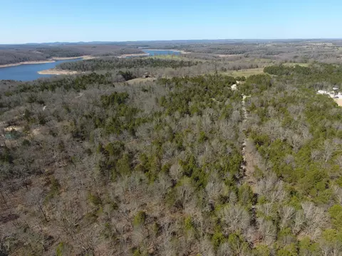 3505 Mcbride Rd #LOT 8 & 10B, Protem, MO 65733 photo 10