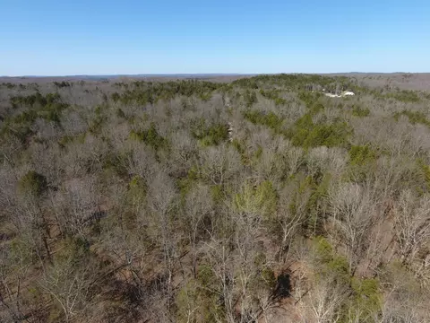 3505 Mcbride Rd #LOT 8 & 10B, Protem, MO 65733 photo 7