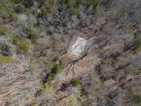 3505 Mcbride Rd #LOT 8 & 10B, Protem, MO 65733 photo 5
