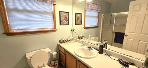 413 River Birch Ct, Nixa, MO 65714 photo 18
