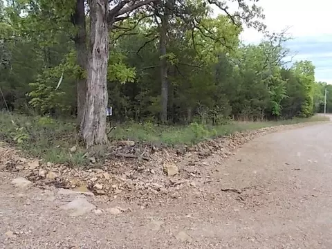 000 County Road 522, Gainesville, MO 65655 photo 17