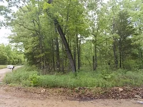 000 County Road 522, Gainesville, MO 65655 photo 34