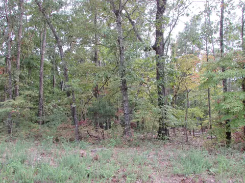 000 County Road 522, Gainesville, MO 65655 photo 10