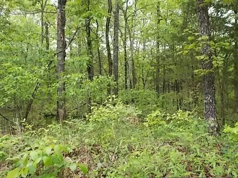 000 County Road 522, Gainesville, MO 65655 photo 37