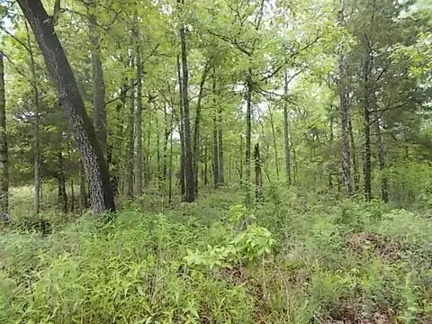 000 County Road 522, Gainesville, MO 65655 photo 52