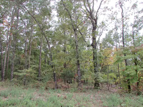 000 County Road 522, Gainesville, MO 65655 photo 11