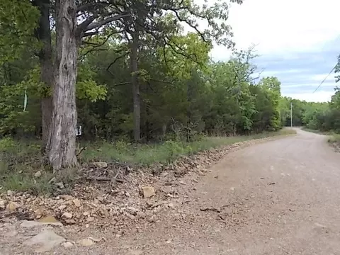 000 County Road 522, Gainesville, MO 65655 photo 18