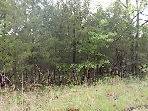 000 County Road 522, Gainesville, MO 65655 photo 20
