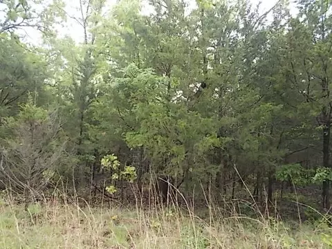 000 County Road 522, Gainesville, MO 65655 photo 29