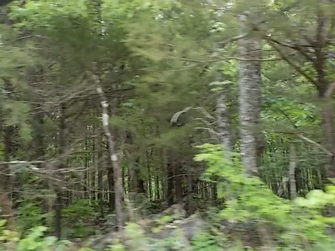 000 County Road 522, Gainesville, MO 65655 photo 32