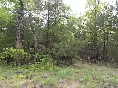 000 County Road 522, Gainesville, MO 65655 photo 22