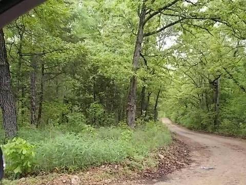 000 County Road 522, Gainesville, MO 65655 photo 36