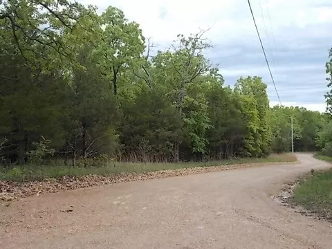 000 County Road 522, Gainesville, MO 65655 photo 13