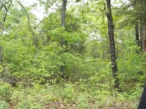 000 County Road 522, Gainesville, MO 65655 photo 39