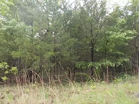 000 County Road 522, Gainesville, MO 65655 photo 30