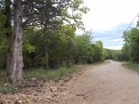 000 County Road 522, Gainesville, MO 65655 photo 15